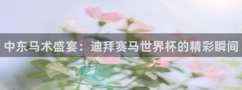 2026世界杯亚洲预选赛赛程:中东马术盛宴:迪拜赛马世界杯的精彩瞬间