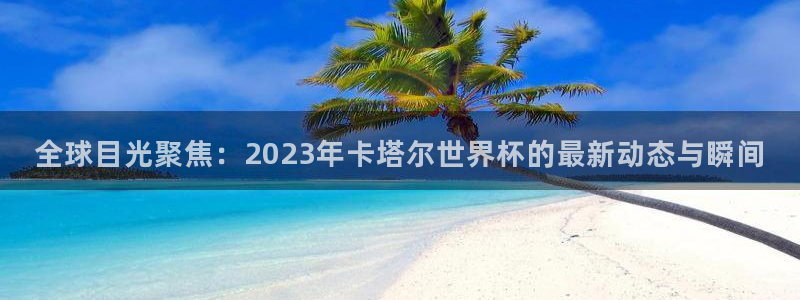 英足总杯直播:全球目光聚焦:2023年卡塔尔世界杯的最新动态与瞬间