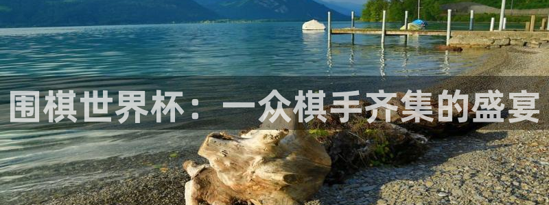 2026世界杯亚洲区预选赛赛程:围棋世界杯:一众棋手齐集的盛宴