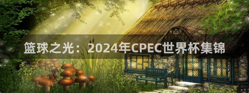 2026男足世界杯:篮球之光:2024年CPEC世界杯集锦