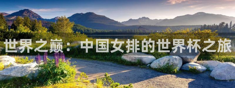 世界杯欧洲区世预赛赛程:世界之巅:中国女排的世界杯之旅