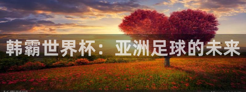 今年的世界杯:韩霸世界杯:亚洲足球的未来