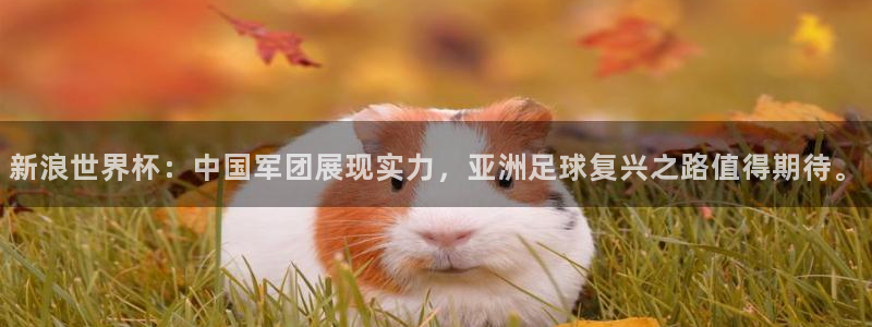 世界杯足球赛2026赛程时间:新浪世界杯:中国军团展现实力,亚洲足球复兴之路值得期待。