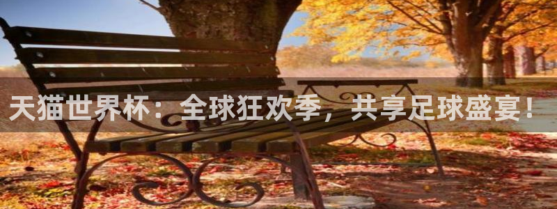世界杯今年:天猫世界杯:全球狂欢季,共享足球盛宴!